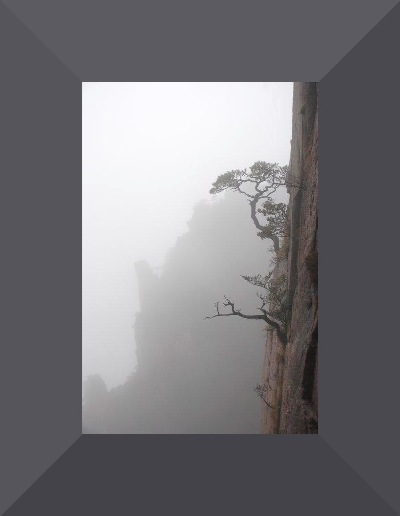 Cliff hanging-out, trees, in China.