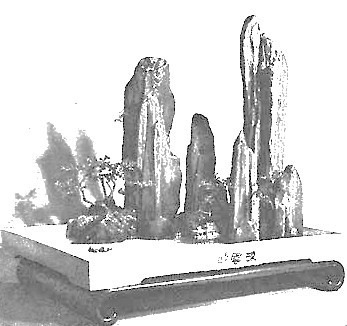 A  Shan Dan Penjing [ Rockery Penjing ] from Suzhou in 1979.