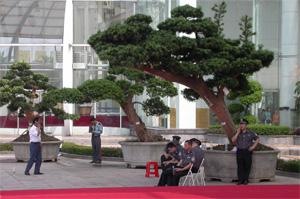 Large Penjing outside Expo Hall