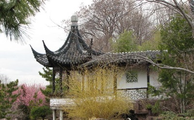 A lovely photograph taken by Dr. Lin Sing @ the New York Scholar's Garden on Staten Island.