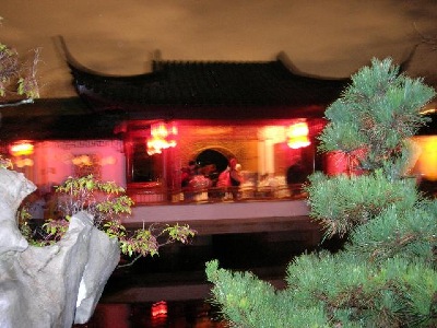 Essential foreground Elements in the Dr. Sun Yat-Sen Classical Chinese Garden, Vancouver, BC