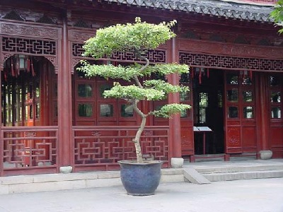 Inclusion of penjing in Chinese Gardens