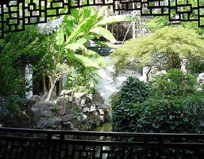 Jade blended Nature of Gardens
