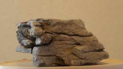 A relatively small rock, which could just as easily be a large cliff.