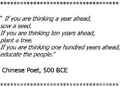 Chinese Proverb for planting seeds, trees and ideas.