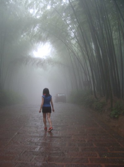 Bamboo Sea in Southern Sichuan, China.