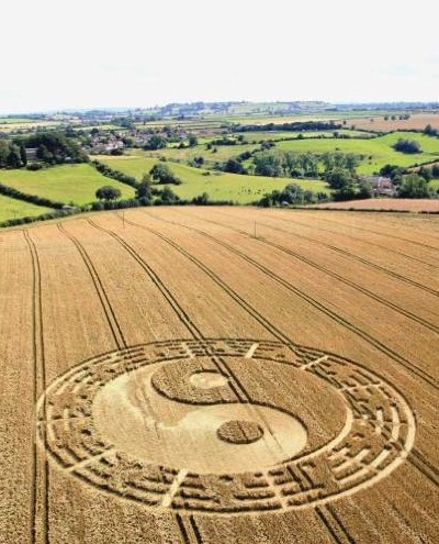 Yin Yang & Pagua symbol, in a field