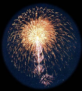 Garden fireworks display.