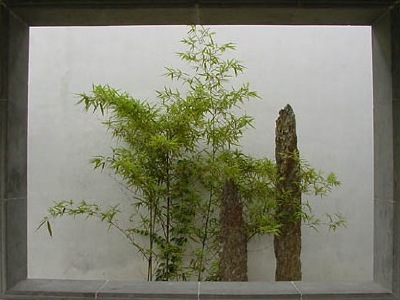 Bamboo plants & bamboo rocks