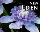 New garden of Eden